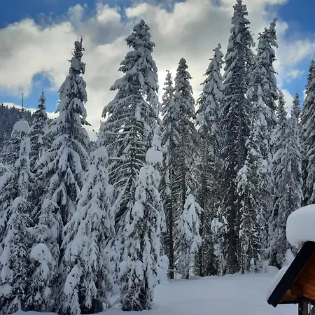 Marina Jahorina