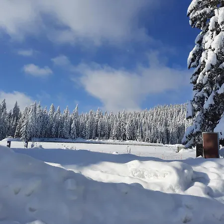 Villa Marina Jahorina