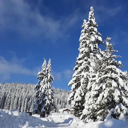Marina Villa Jahorina