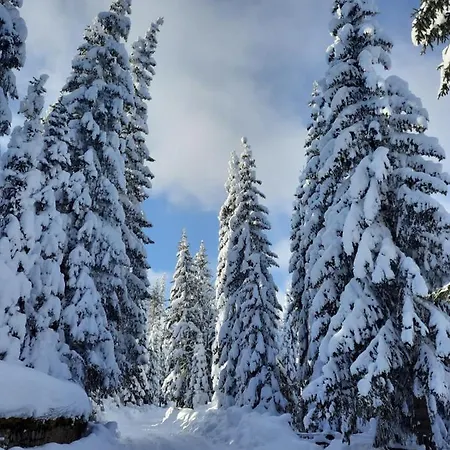 Marina Vila Jahorina