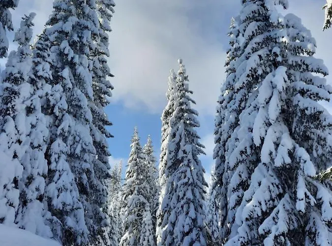 Marina Villa Jahorina